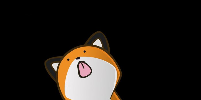 1920x1080 75+] Stupid Wallpaper on WallpaperSafari