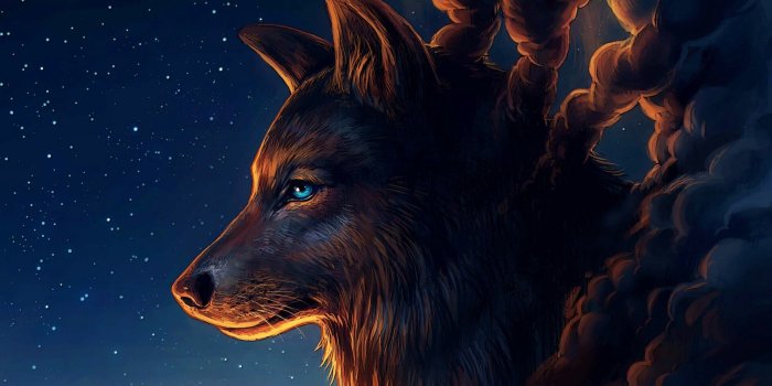 1920x1080 74+ Wolf Art Wallpapers on WallpaperPlay