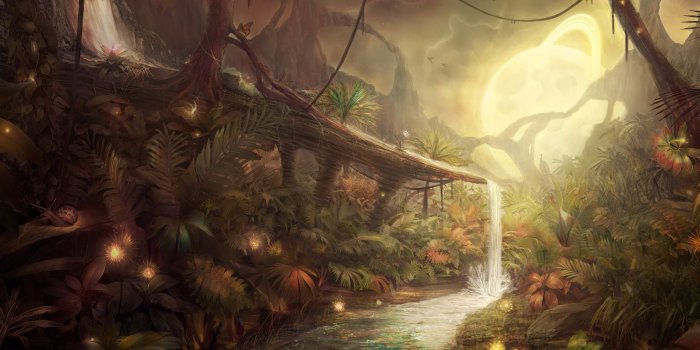 2560x1600 Fantastic Jungle ❤ 4K HD Desktop Wallpaper for 4K Ultra HD TV