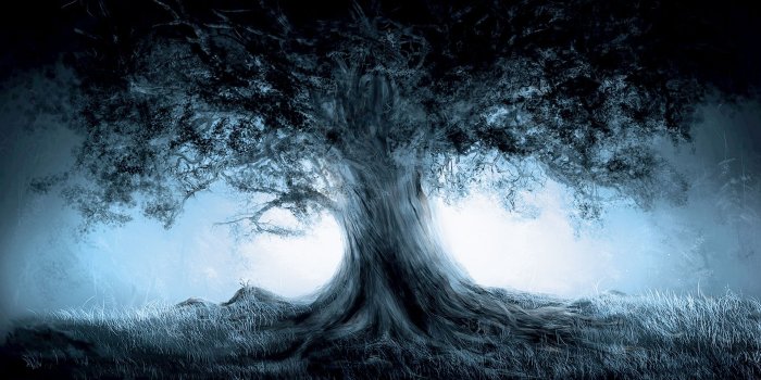 1920x1080 Free download Wallpapers Tree Mist Fantastic Wallpapers HD Desktop