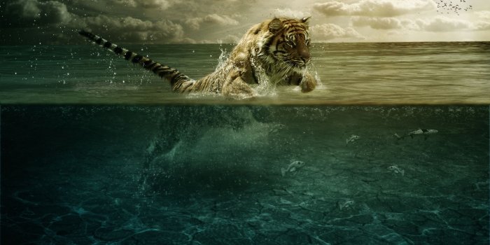 1920x1080 Fantastic HDR wallpaper | 1920x1080 | #33538