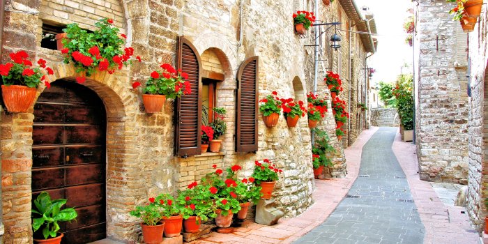 3900x2595 45+ Italy Flowers Wallpapers - Download at WallpaperBro
