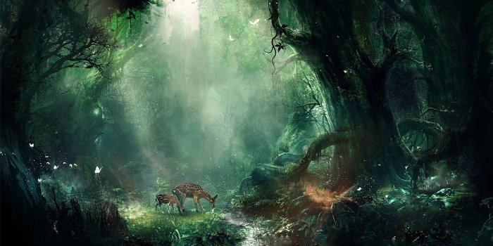 1920x1080 HD Fantasy Wallpapers 1080p (73+ images)