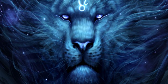 1536x2048 Tiger Art Fantastic Mane Glow - Free Stock Photos, Images, HD