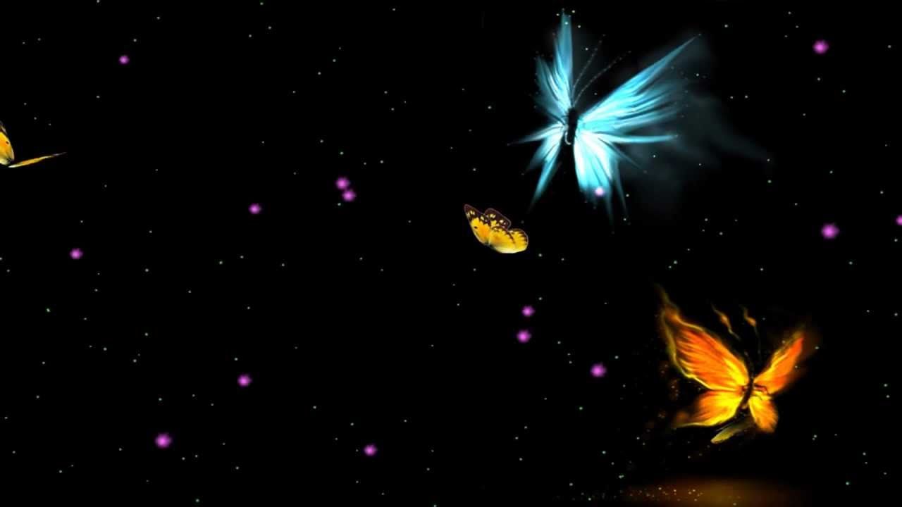 1280x720 Fantastic Butterfly Animated Wallpaper http://www.desktopanimated