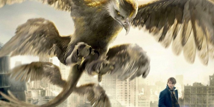 1920x1080 Thunderbird Fantastic Beasts Wallpaper - Wallpaper Stream