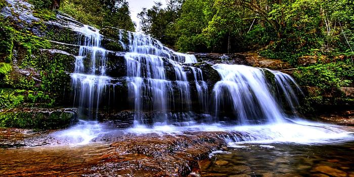 1920x1080 49+] Live Waterfall Wallpapers Free Download on WallpaperSafari