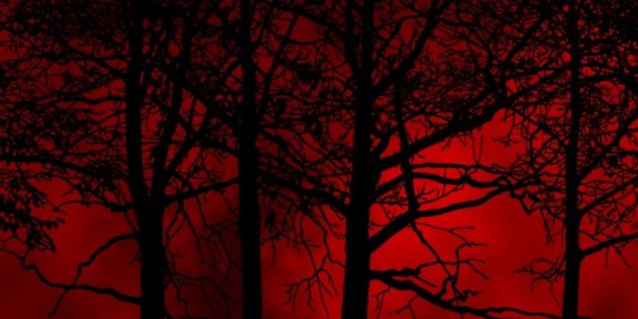 800x1200 Download wallpaper 800x1200 trees, sky, eclipse, night, blood iphone