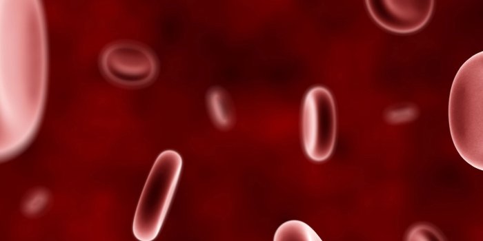 1920x1200 Blood cells [2] wallpaper - 3D wallpapers - #29862