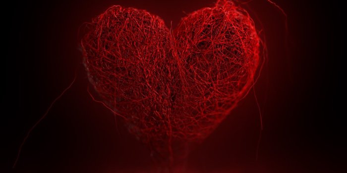 1920x1200 Bloody Rose Wallpaper (60+ images)