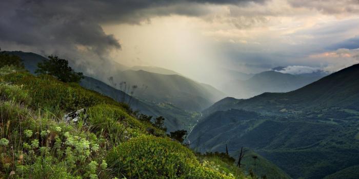 1920x1080 Lovely Tree Valley #Wallpaper - HD Wallpapers