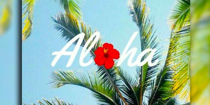 700x1170 Aloha Wallpaper; Tropical, Palm Trees, Beach for Android - APK Download
