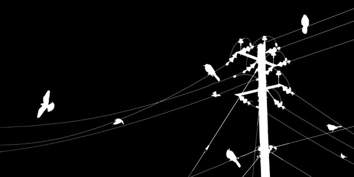 1600x900 35+ Electrical Black Wallpapers - Download at WallpaperBro