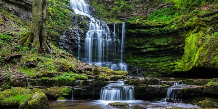 4939x3109 waterfall, Nature, Forest Wallpapers HD / Desktop and Mobile Backgrounds