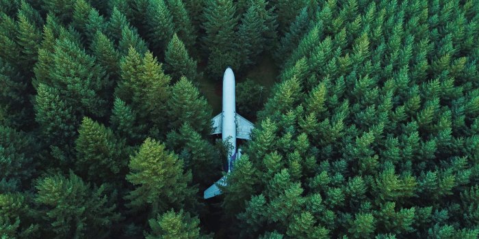 4000x3000 Plane In Middle Of Forest 4k, HD Planes, 4k Wallpapers, Images
