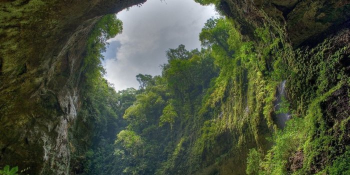 1440x900 Raining Forest Wallpapers