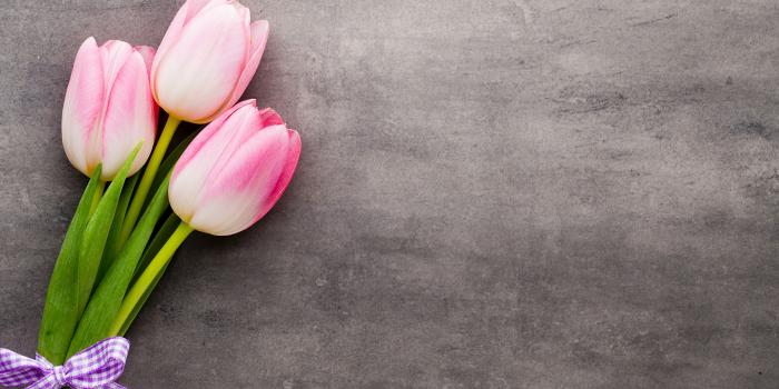 2560x1440 Desktop Wallpapers Tulips Flowers Three 3 2560x1440