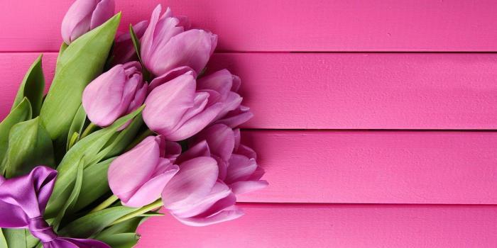 1600x900 Awesome Background Pictures | Tulip HDQ Cover (27+) Wallpapers