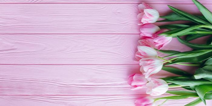 1600x900 Valentine's day - lovely pink tulip flowers HD wallpaper download