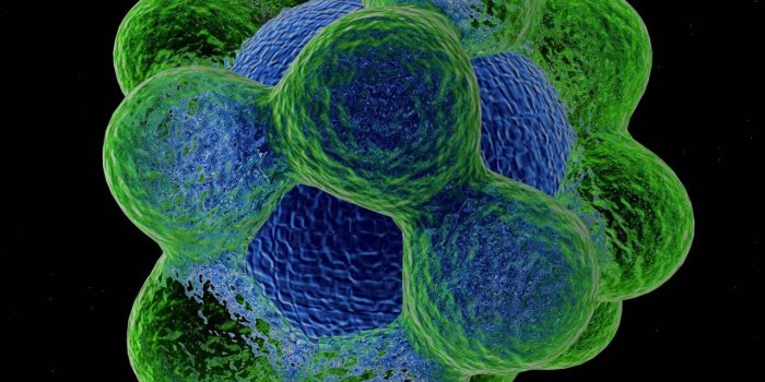 1280x1024 Interesting Atom HDQ Images Collection, HD Widescreen Wallpapers