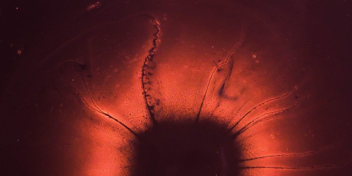 3120x4722 The Nucleus Of An Atom iPhone Wallpaper - iDrop News