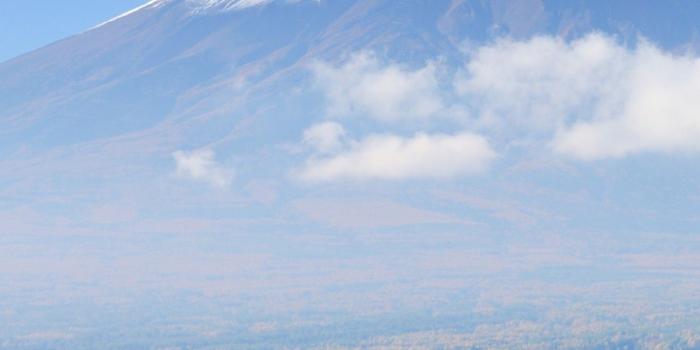 1440x2560 Wallpaper fuji, 4k, HD wallpaper, japan, travel, tourism, National