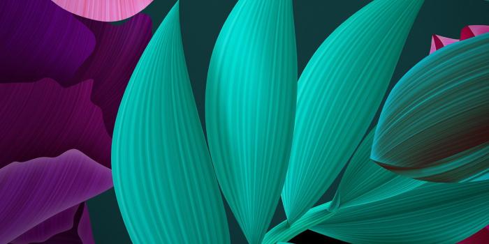 1440x2560 Download 1440x2880 wallpaper flowers, leaves, huawei mate 10, stock