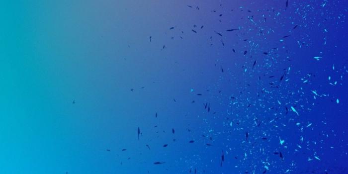 1080x2240 Wallpapers Huawei P20 Pro | Wallpapers Huawei P20 Pro in 2019