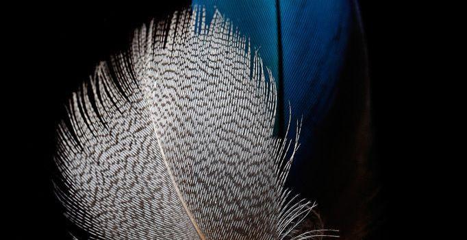 682x1212 Huawei HD Wallpapers