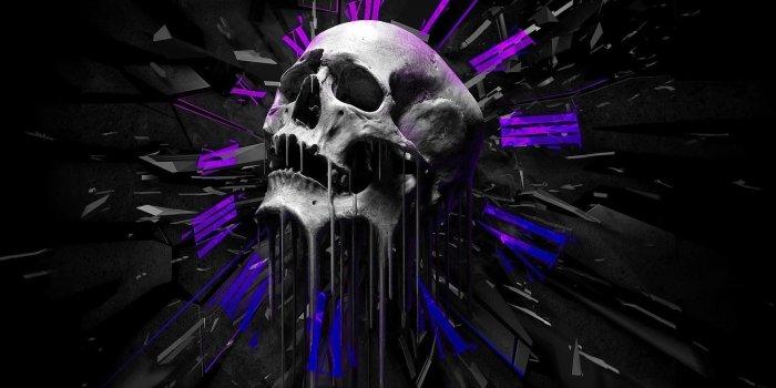 1600x1000 47+] Free Skull Wallpaper for Laptop on WallpaperSafari