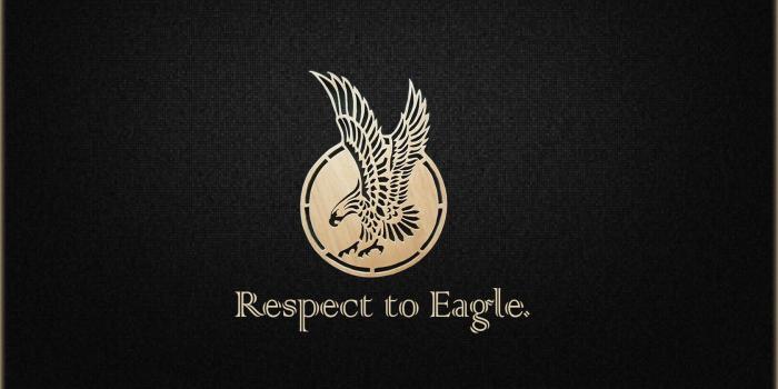 1680x1050 Respect to Eagle! wallpapers | Respect to Eagle! stock photos