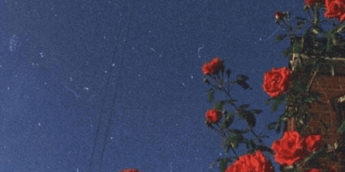 720x1280 Image about blue in Huawei wallpaper by Loren