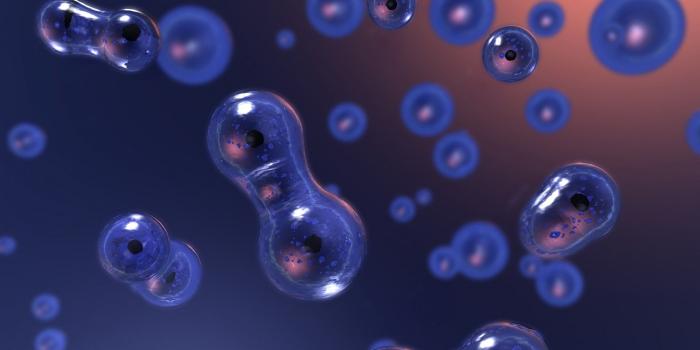 1920x1080 Cell Biology Wallpaper (62+ images)