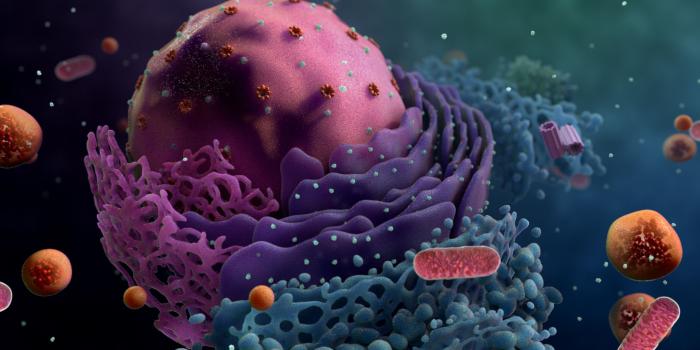 1920x1080 58+ Cell Biology Wallpapers on WallpaperPlay