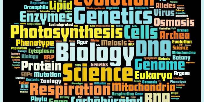 903x900 Biology Wallpaper | Projects to Try | Science vocabulary, Teaching