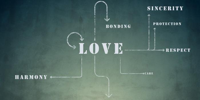 1332x850 Wallpaper love, scheme, protection, care, attention, harmony