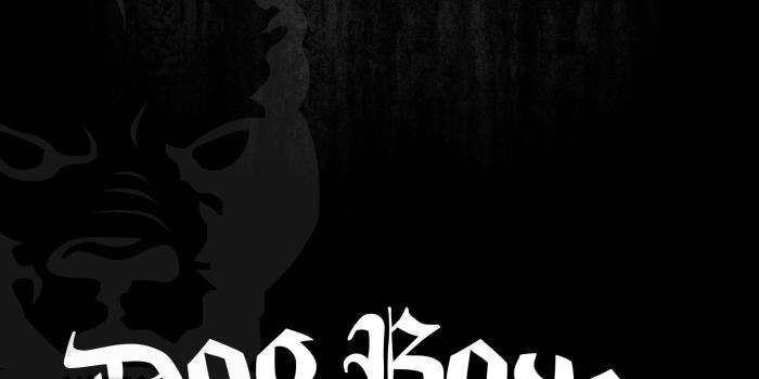 1920x1080 Wallpapers Mma Boxer Dog Clothing Boxing Kickboxing Respect The