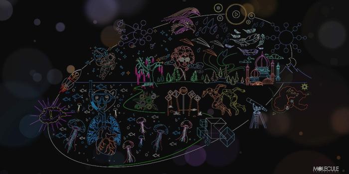 1191x670 43+] Biology HD Wallpaper on WallpaperSafari