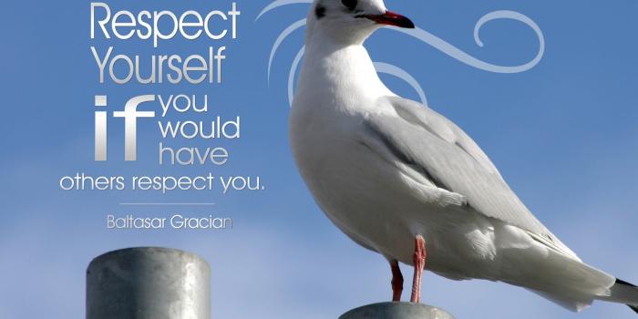 1920x1200 motivational wallpaper respect - HD Desktop Wallpapers | 4k HD