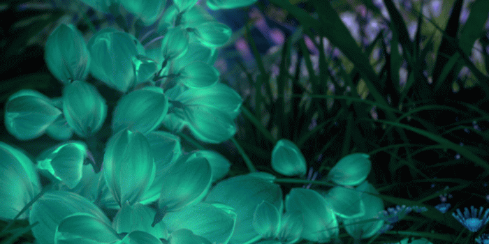 1080x2160 Download the upcoming Huawei P20's default wallpapers in full resolution