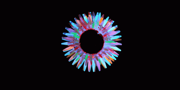 1980x1080 1 Biology HD Wallpapers | Background Images