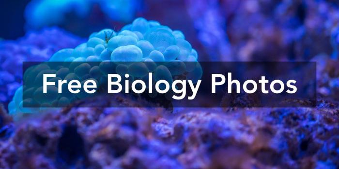 1500x1000 250+ Amazing Biology Photos · Pexels · Free Stock Photos