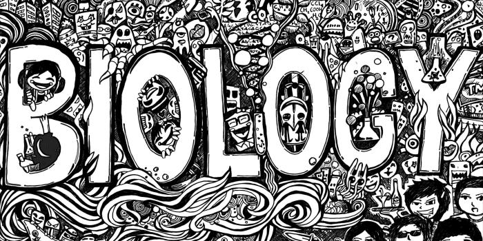 3402x2448 Biology, Motivational HD Wallpapers, Detail,HD Quotes, Abstraction