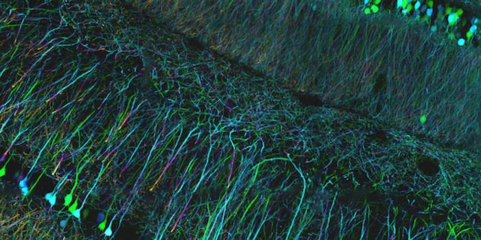 1280x1024 Most Download Molecular Biology | Desktop Backgrounds