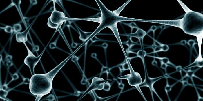 1920x1080 58+ Cell Biology Wallpapers on WallpaperPlay