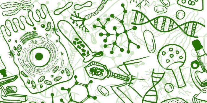 1300x1390 Biology Wallpaper (101+ images in Collection) Page 1