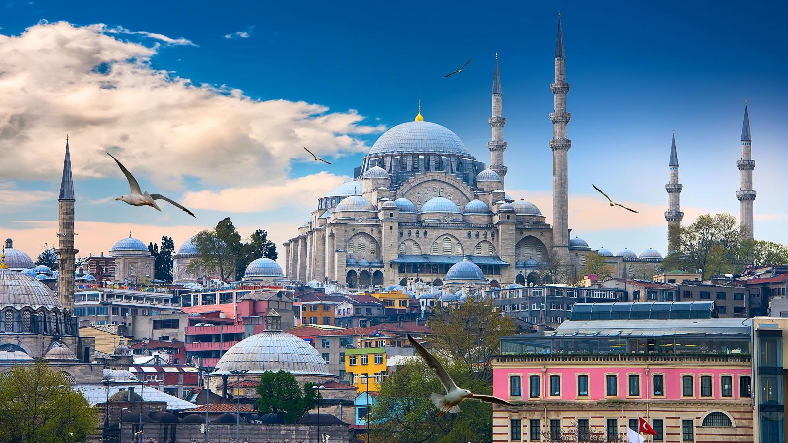 2560x1440 Wallpaper Istanbul bird Mosque Turkey Temples Cities 2560x1440