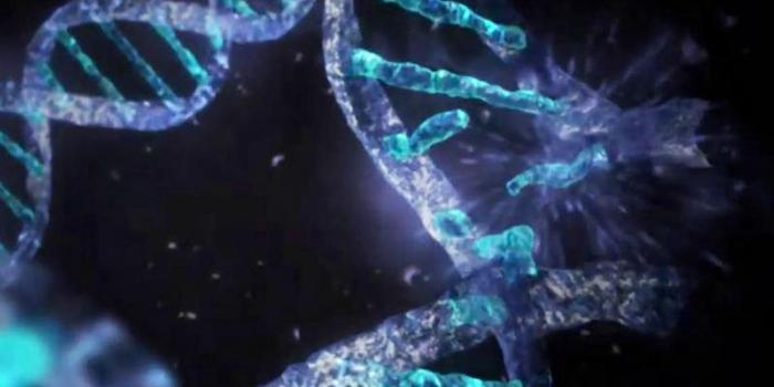 1024x768 48+] Cell Biology Wallpaper on WallpaperSafari