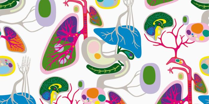 1280x800 25 Biology Background Images for Laptop - GsFDcY Graphics