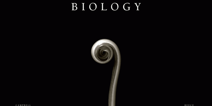 1920x1200 Biology Wallpapers